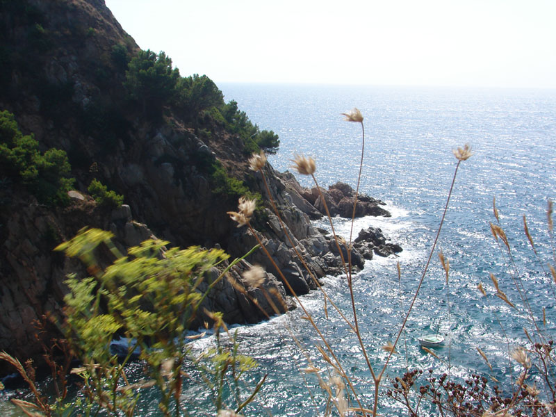 Penhorsweb