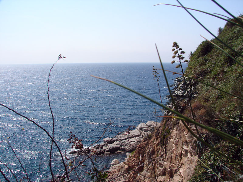 Penhorsweb