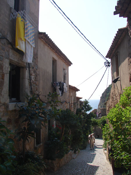 Penhorsweb