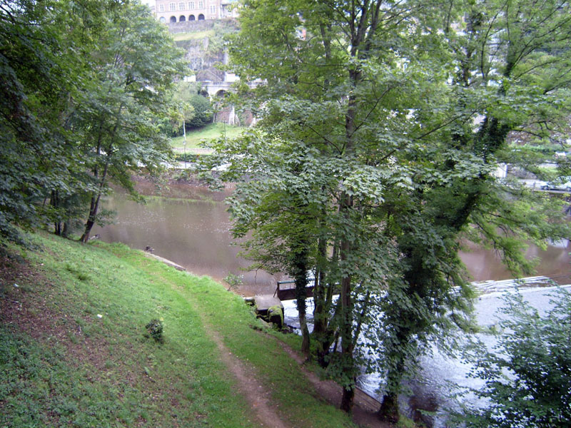 Penhorsweb